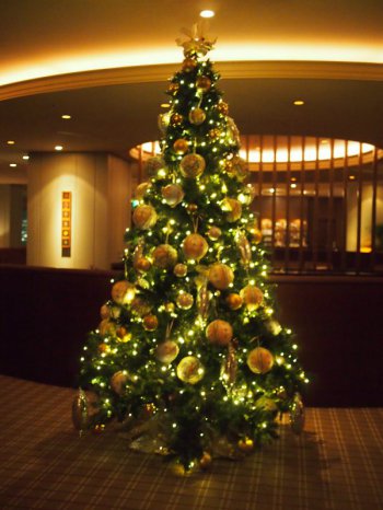 クリスマス時期なので大きなツリーが飾られていました。