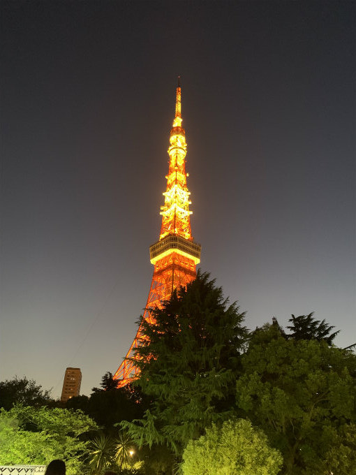 東京タワーは日没時間になるとライトアップされます。