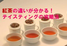 tea tasting2020