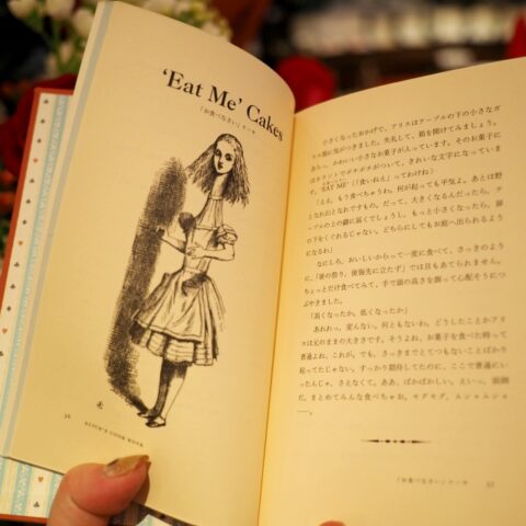 そしてお料理の写真やイラストが一切ないアリスのレシピ本（笑）もありました！